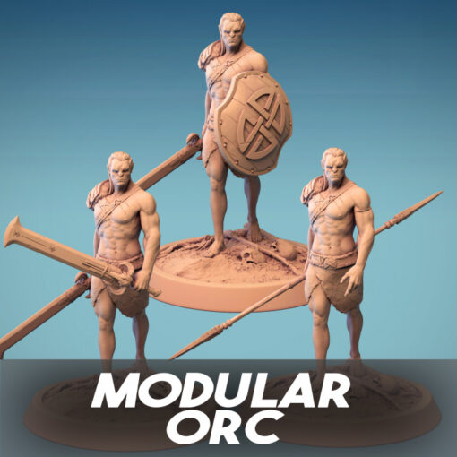720X720 modular orc