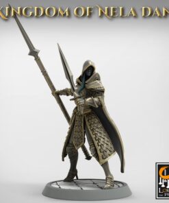 Elf Soldier SpearSword Chief 01 scaled