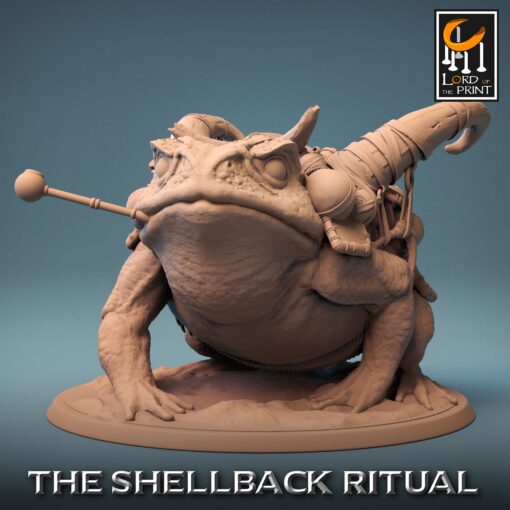 ShellBack Mount Toad Family Saddle 02