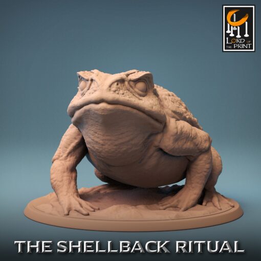 ShellBack Mount Toad Family Wild 02