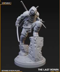 Vengefull brother (Last Ronin)