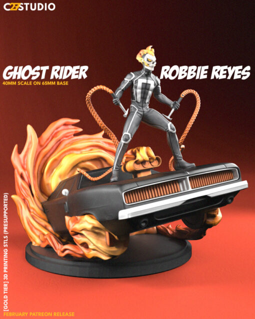 resize ghost rider robbie reyes colored
