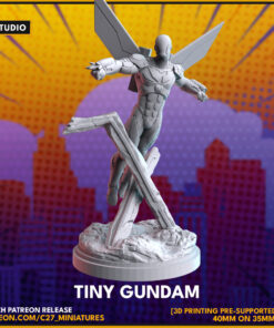 Tiny Gundam (Mach X)