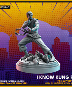 I Know Kung Fu (Shang Chi)