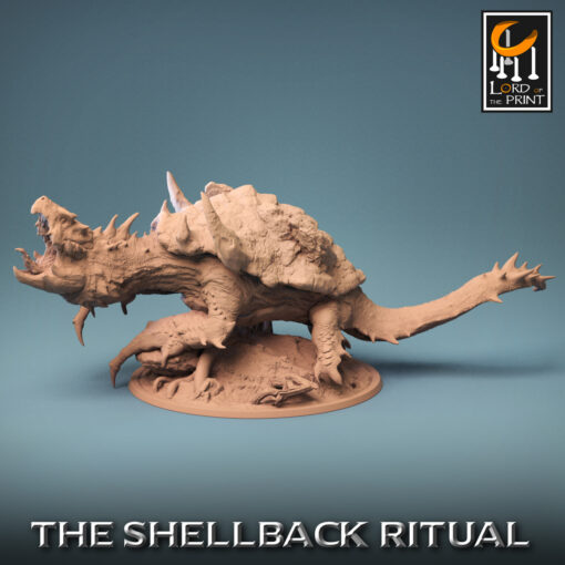 resize shellback dragon turtle roar 04