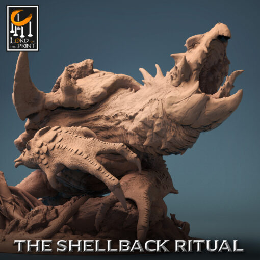 resize shellback dragon turtle roar 06