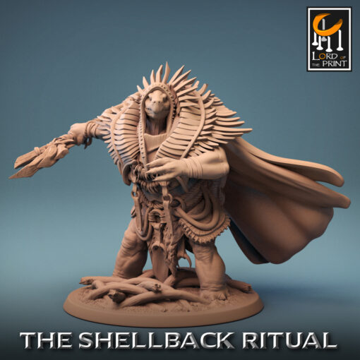 resize shellback shaman stance 02