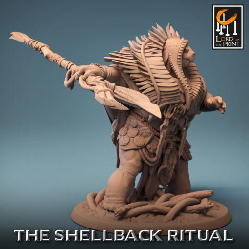 resize shellback shaman stance 03